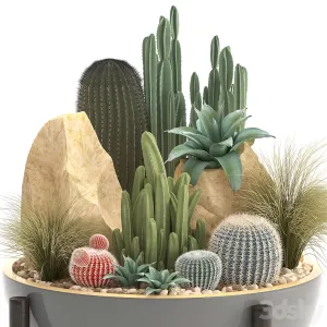 Plant collection 3