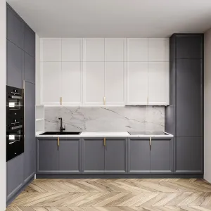 Kitchen Neoclassical