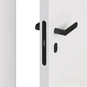 Flush Mounted Doors with Fittings