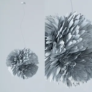 Plumage