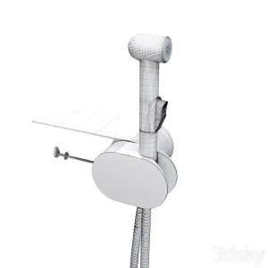 Hygienic Shower AM PM