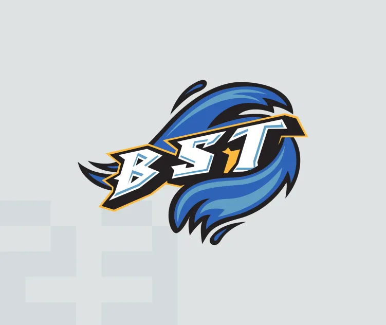 Bridgeport sound tigers 2