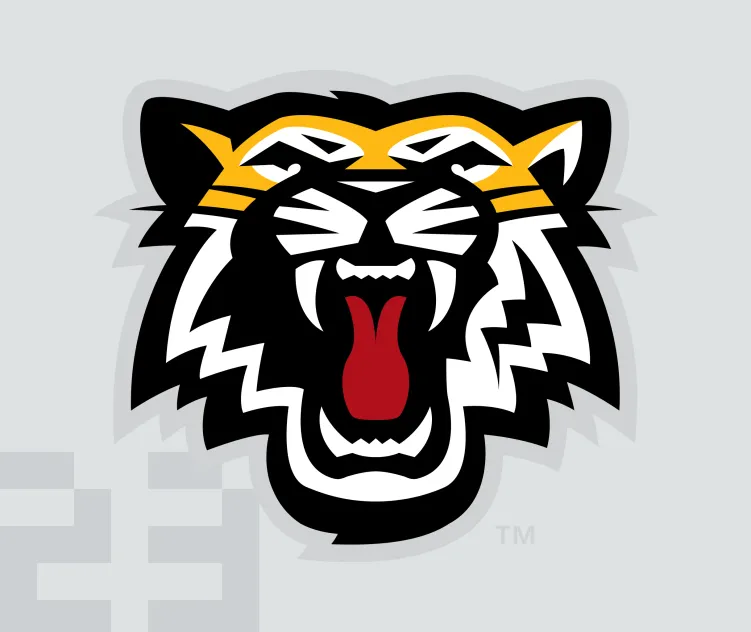 Hamilton tiger cats 3