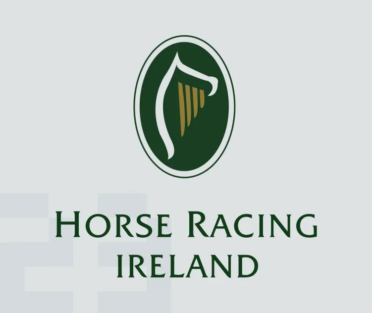 Horse racing ireland
