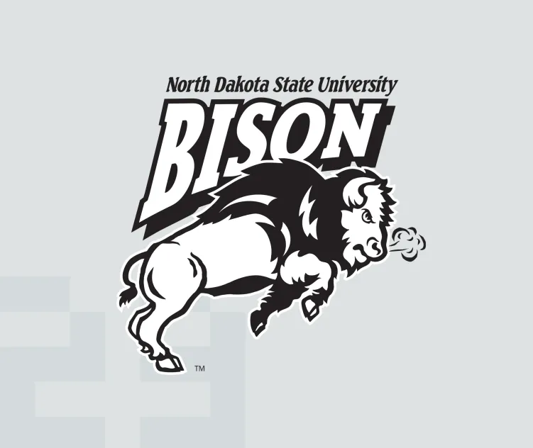 Ndsu bison 1