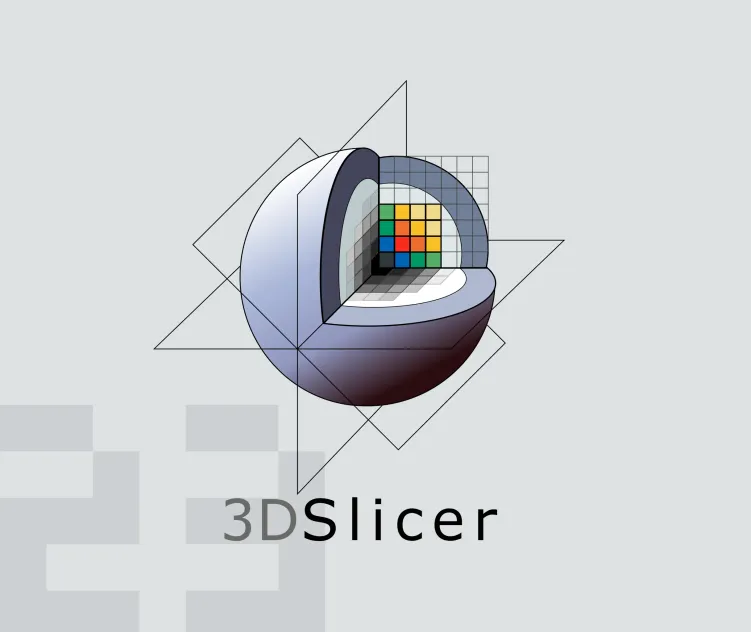 3d Slicer Vertical