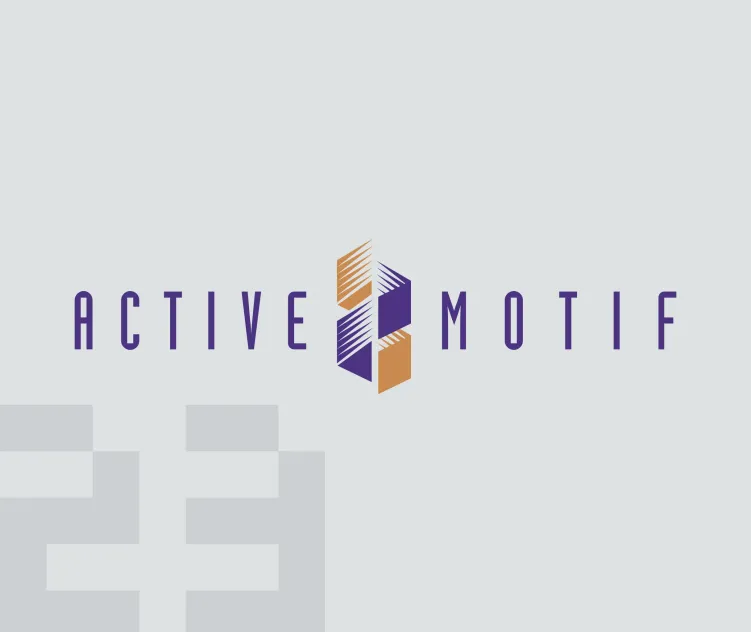 Active motif