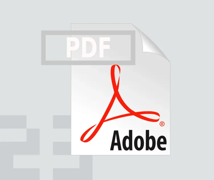 Adobe Acrobat File Pdf 04