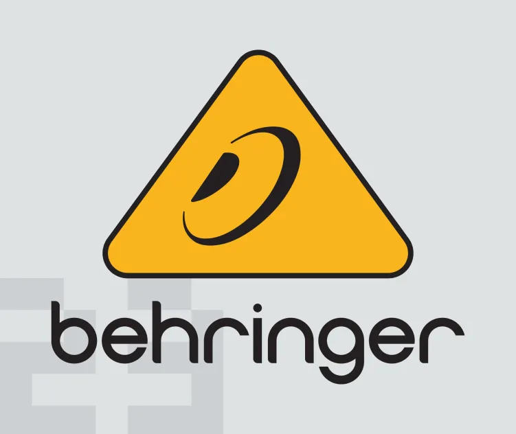 Behringer 1