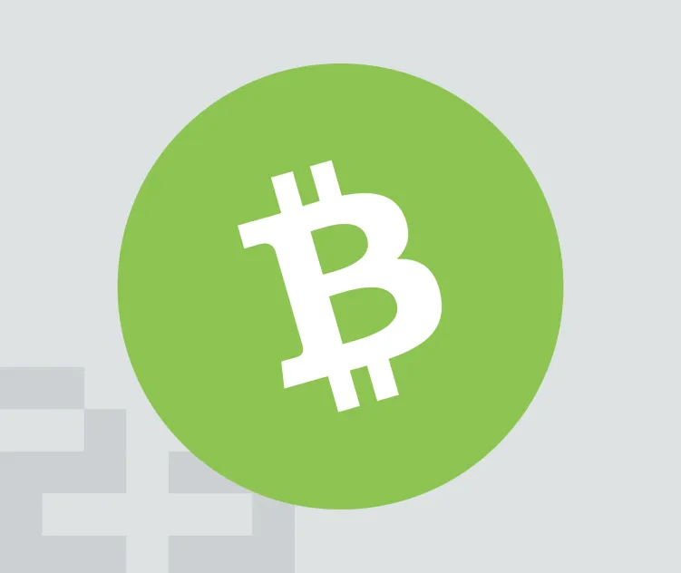 Bitcoin Cash Bch