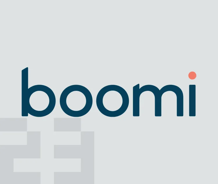 Boomi 02