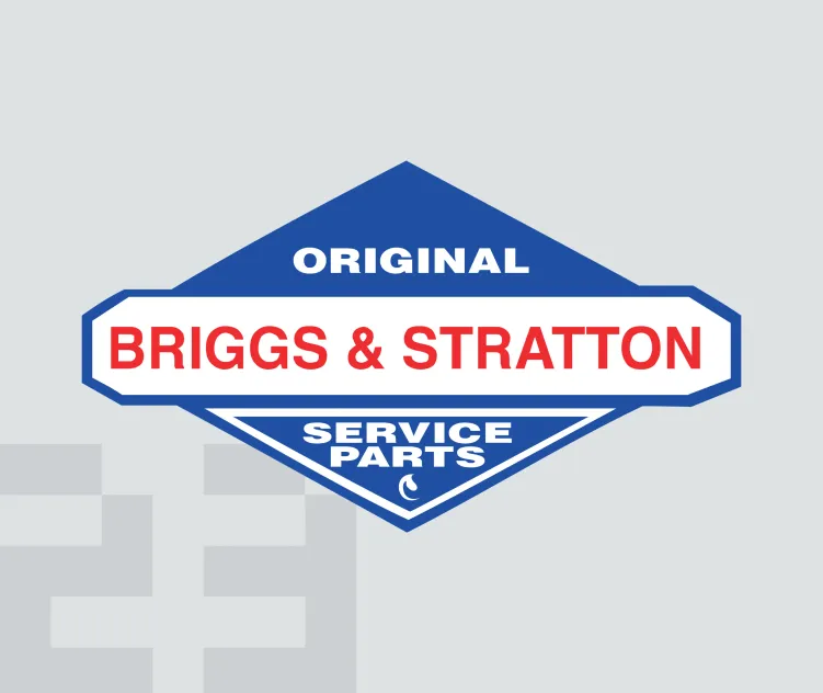 Briggs stratton 1
