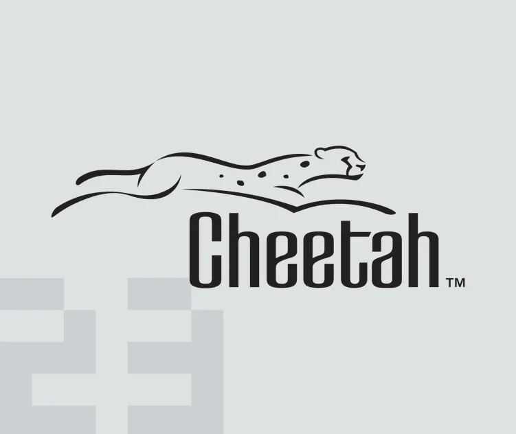 Cheetah