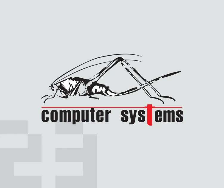 Computer Systems