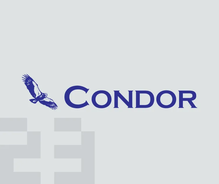 Condor earth technologies