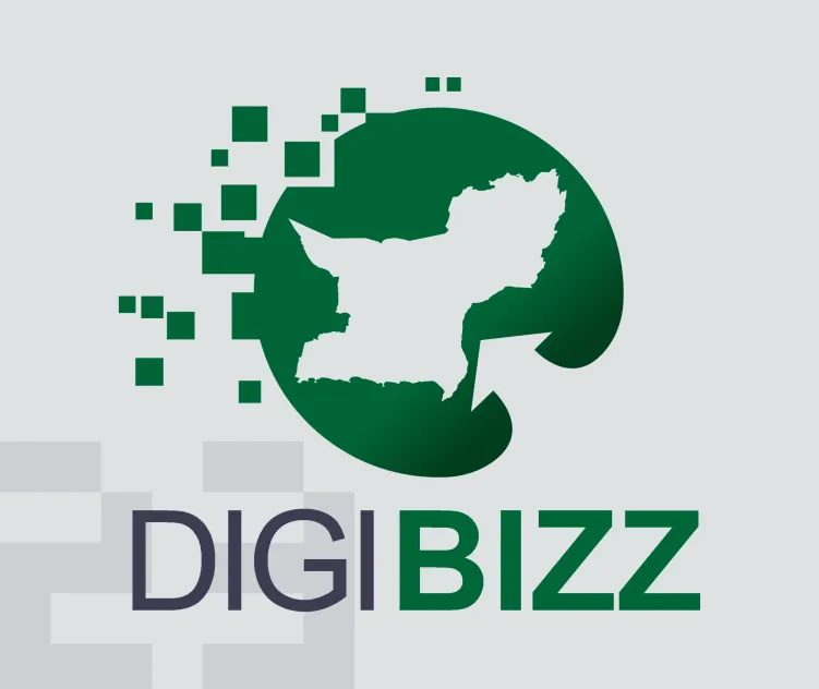 Digibizz Training Program