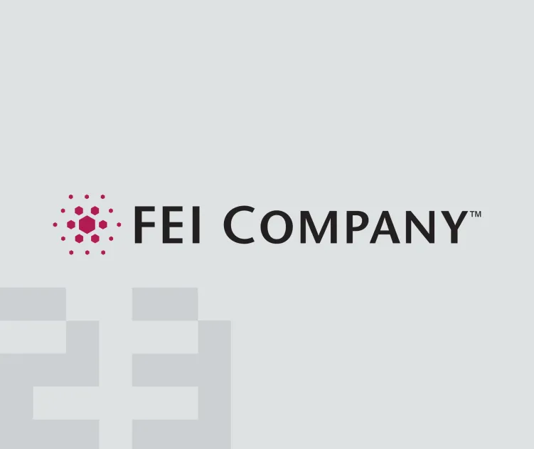 Fei company