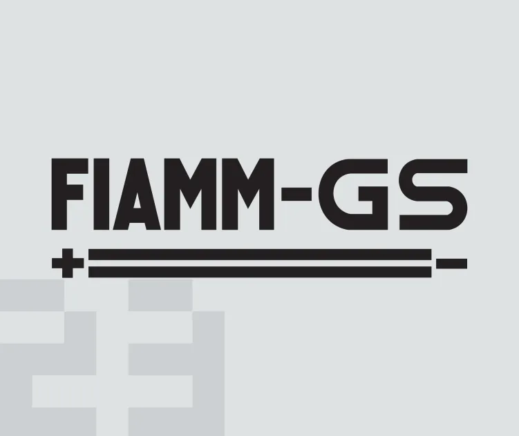 Fiamm gs