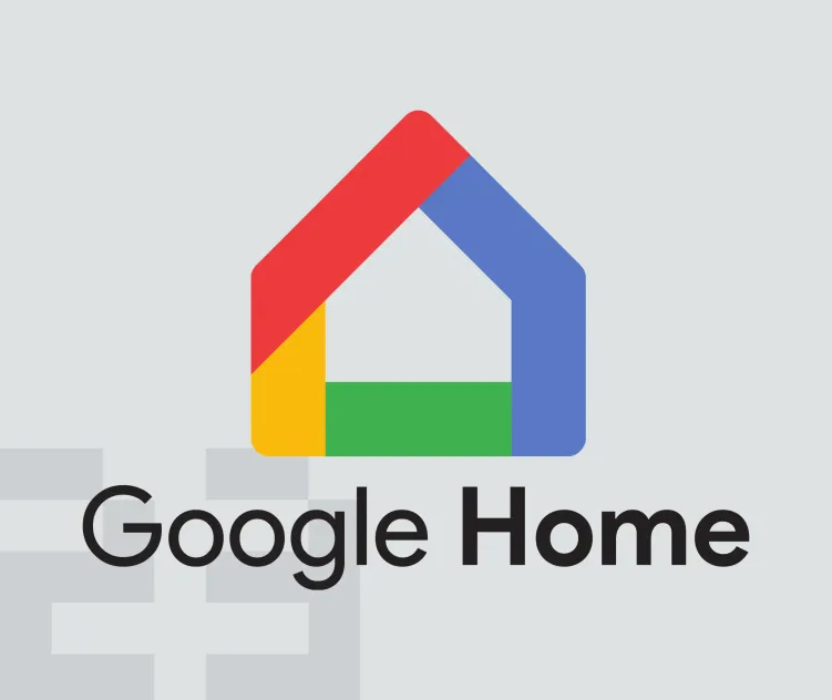 Google home