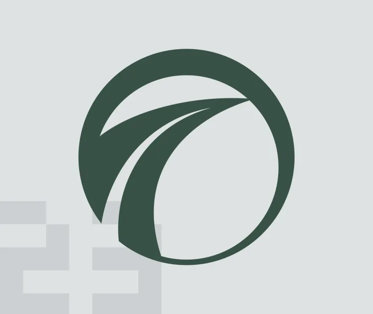 Image Sensing Systems