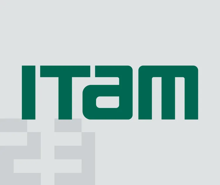 Itam Instituto Tecnologico Autonomo De Mexico