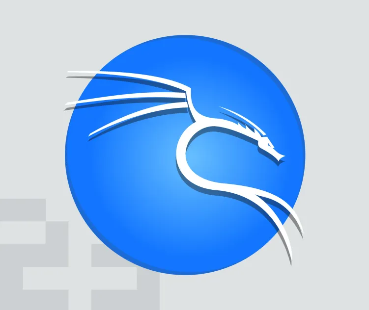 Kali Linux 02