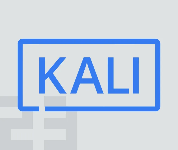 Kali Linux 1