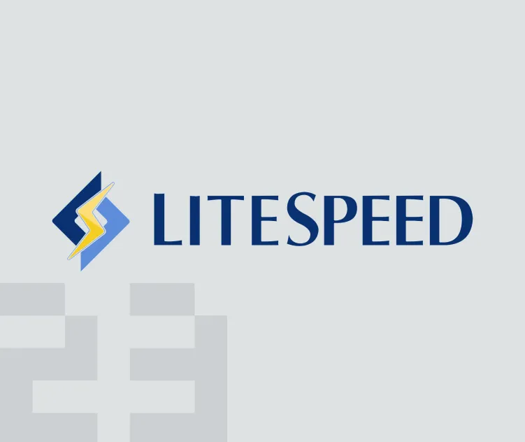 Litespeed Technologies Inc