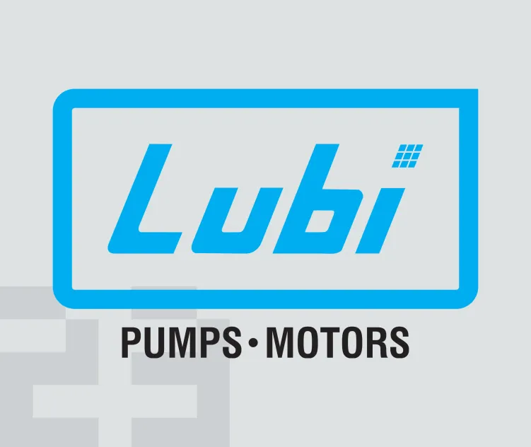 Lubi Pumps
