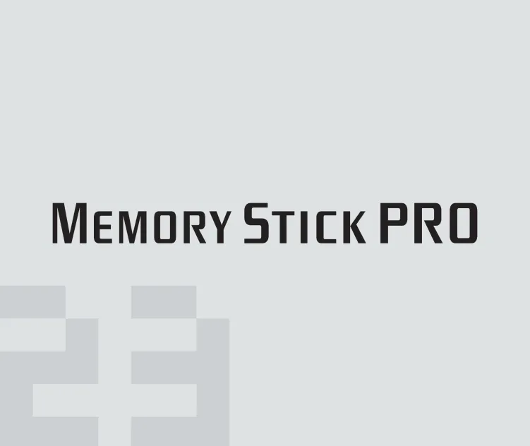 Memory Stick Pro
