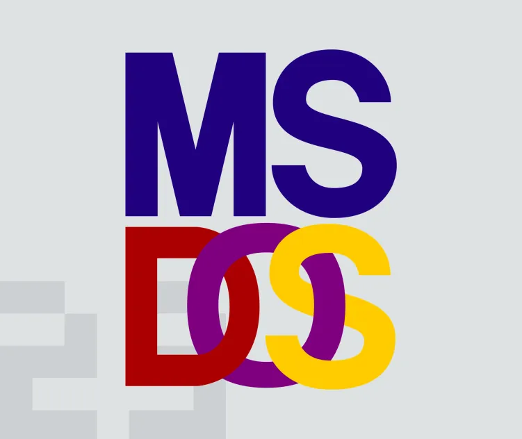 Ms Dos 02