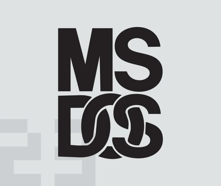 Ms Dos 1