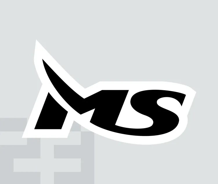 Ms Industrial