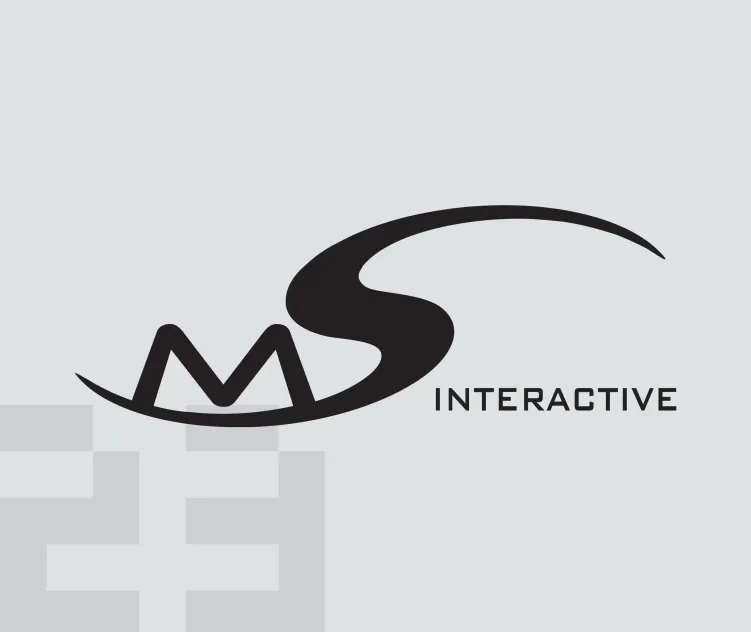 Ms Interactive