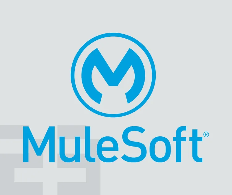 Mulesoft 1