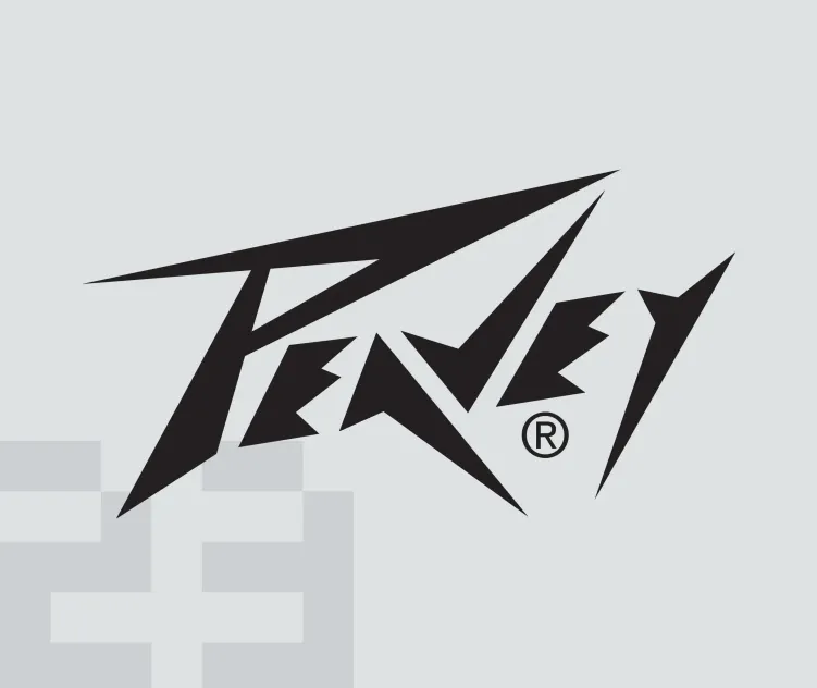 Peavey 02