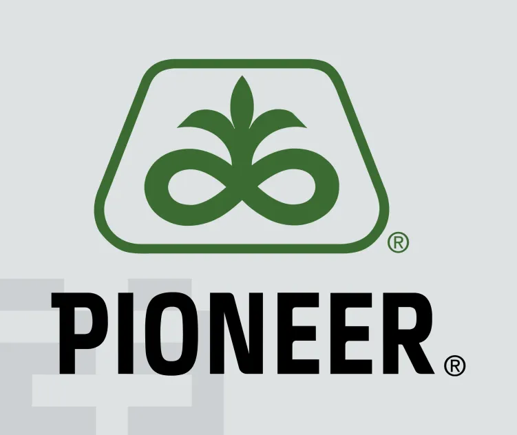 Pioneer Copy