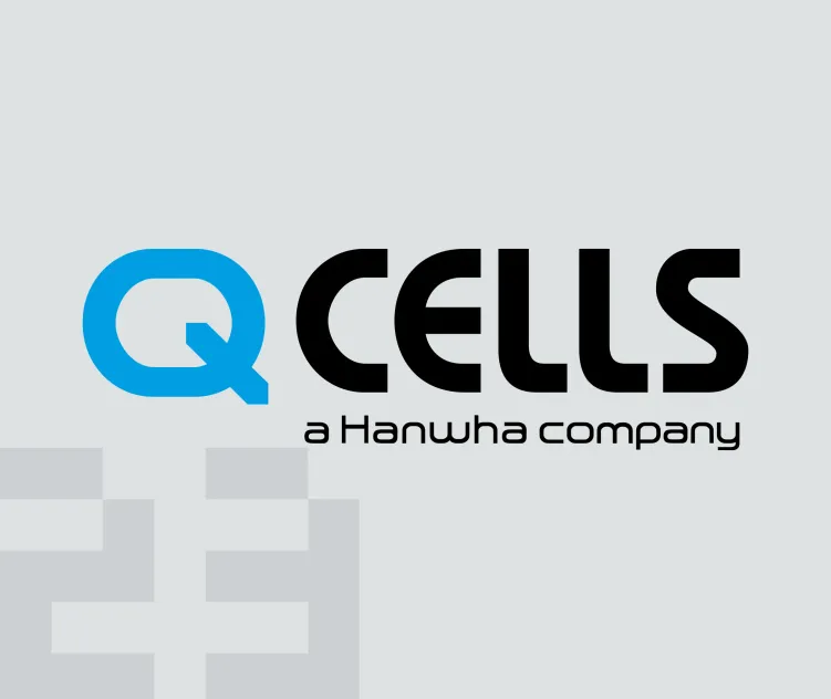Q Cells