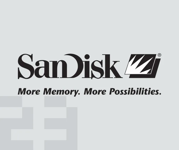 Sandisk 1