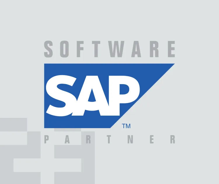 Sap Software Partner