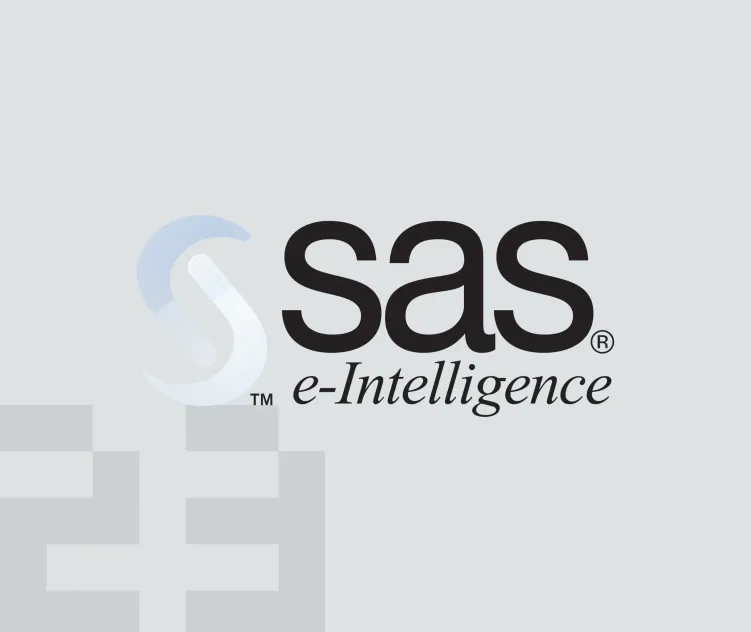Sas Institute