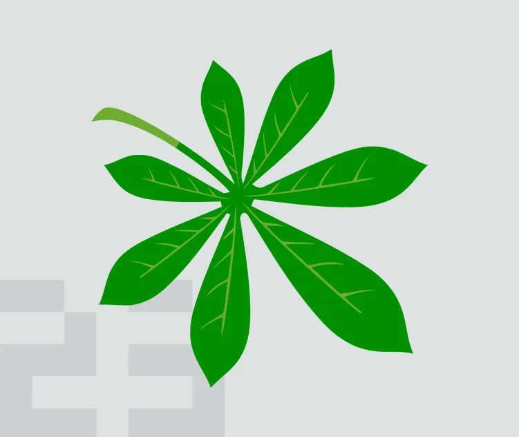 Tatvasoft Software Development India