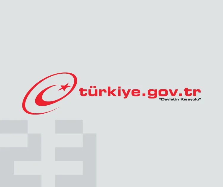 Turkiye Gov Tr
