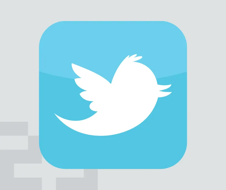 Twitter Bird Icon