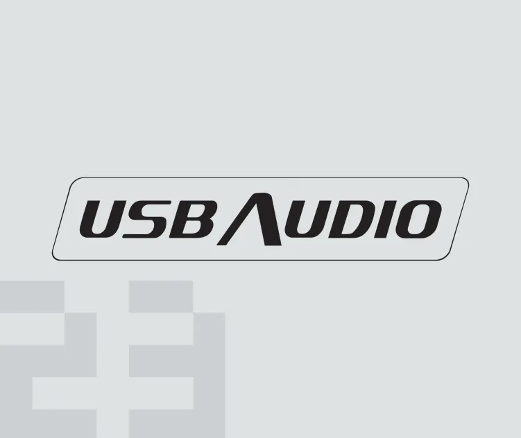 Usb Audio