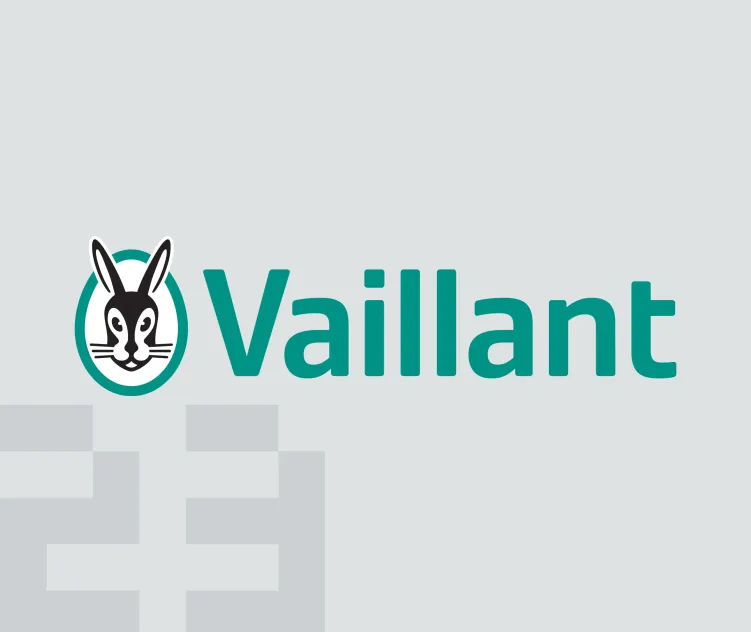 Vaillant New Since