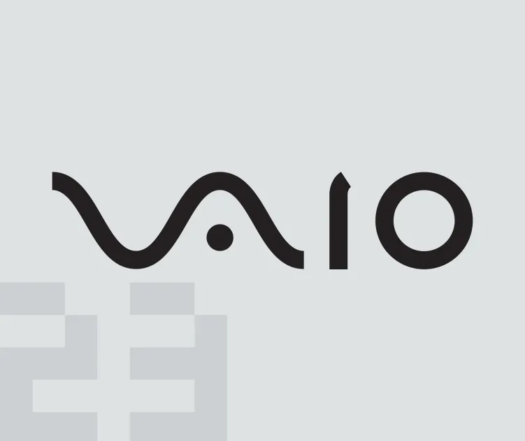 Vaio