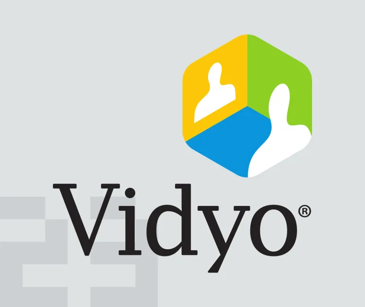 Vidyo 02