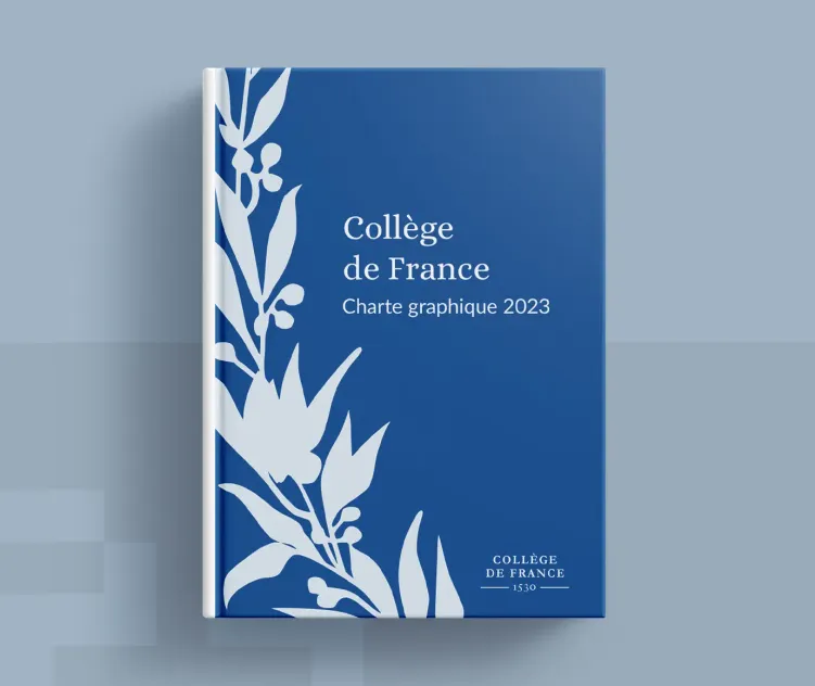 Collège De Charte Graphique