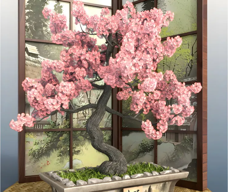 Bonsai sakura